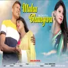 About Maha Bhangwa Song